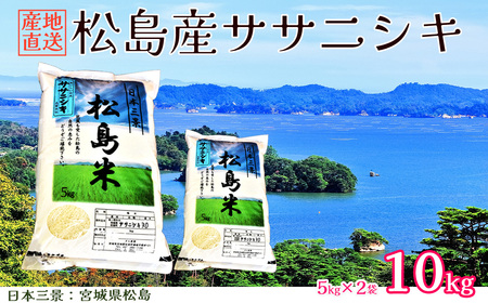 【令和7年度産】松島産ササニシキ5kg×2袋 No.092