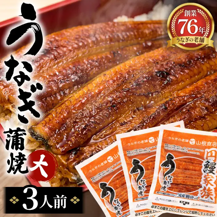 うなぎ蒲焼（大）　3人前 No.104