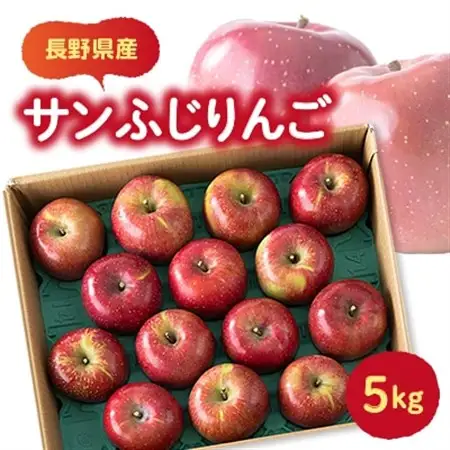 【贈答用】サンふじりんご　5kg _果物・フルーツ りんご  リンゴ 林檎_【1457111】