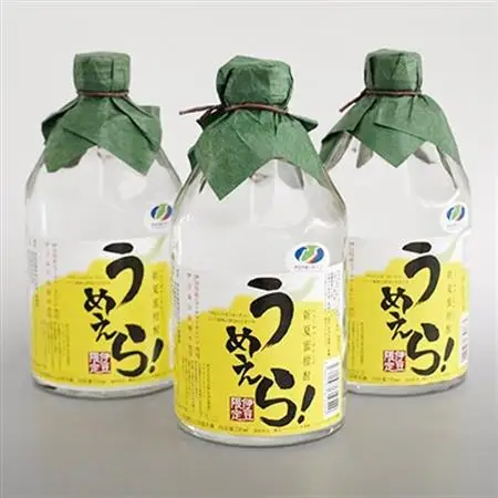 「新夏蜜柑(ニューサマーオレンジ)酎うめえら!」3本セット_酒・アルコール リキュール・洋酒  _【1014955】