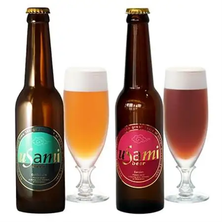USAMI　BEER　2種×2(4本)セット_酒・アルコール  ビール _【配送不可地域：離島】【1015376】