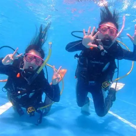 伊東・城ヶ崎の海で初級ダイビングライセンスが取得できる　2日コース_旅行券・チケット ダイビング 体験チケット   旅行券・チケット  宿泊券 _【1059668】
