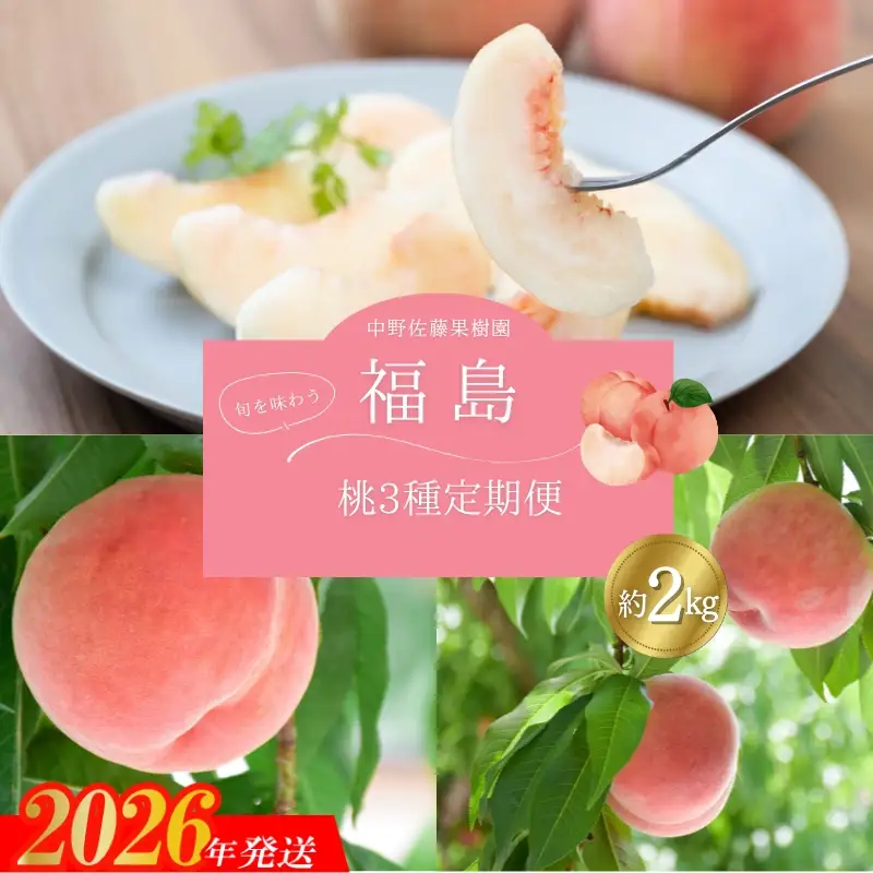 No.2791中野/佐藤果樹園 福島の桃３種定期便 各約2kg【2026年発送】