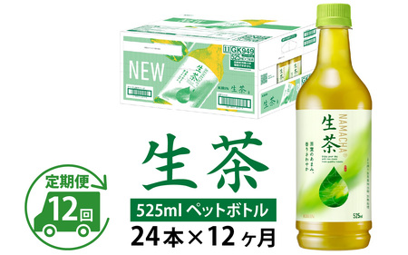 【定期便12回】キリン 生茶 525ml × 24本 12ヶ月