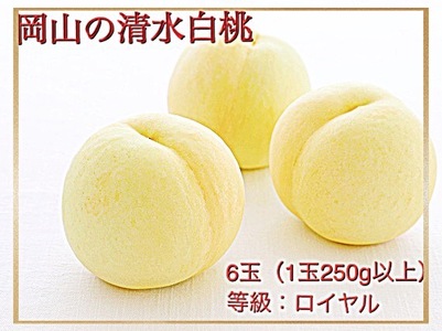 Hz-1　【令和8年発送・先行予約】岡山県産　清水白桃（1玉250g以上）6玉　等級：ロイヤル　化粧箱入り