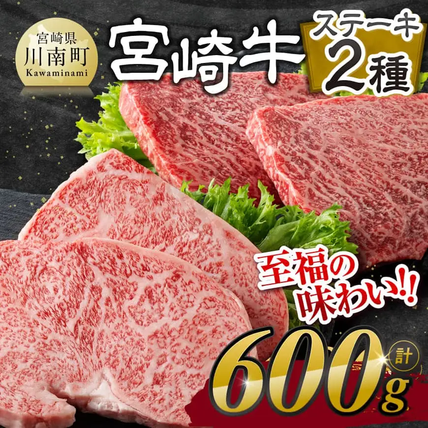 【令和8年6月発送】宮崎牛 ステーキ 2種 600g 牛肉 ステーキ