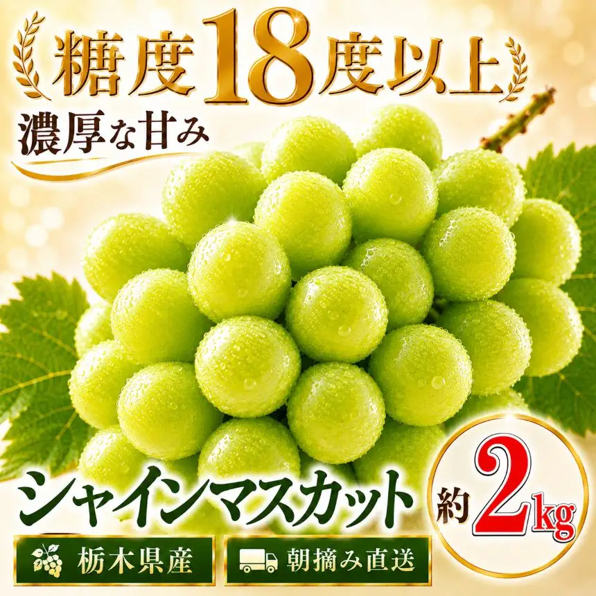 【先行予約】朝摘み直送 シャインマスカット 2kg
