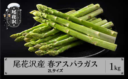 尾花沢産 春アスパラガス 2Lサイズ 1kg(極太) 令和8年産  nd-vga2x1
