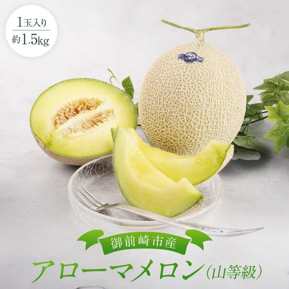 御前崎市産アローマメロン（山等級）1玉入り｜マスクメロン フルーツ 果物 くだもの デザート ギフト 贈答 プレゼント 箱入 静岡