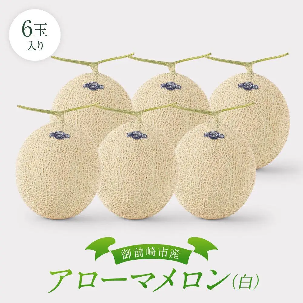 御前崎市産アローマメロン(白）6玉入り｜マスクメロン フルーツ 果物 くだもの デザート 静岡