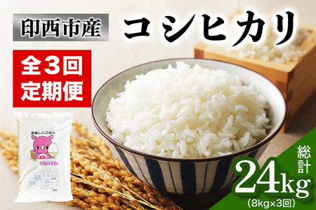 新米 [定期便／3ヶ月 令和7年産] コシヒカリ 印西市産 美味しいごはん 計24kg (8kg×3回) こしひかり 精米 [0520]