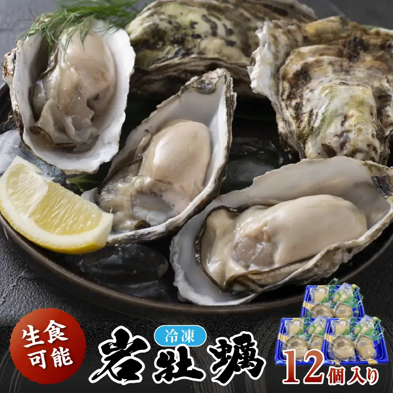 京都・京丹後産　鮮度抜群！濃厚肉厚岩牡蠣（生食用）12個入り（個別包装・冷凍）  魚介 国産 肉厚 生食用 養殖牡蠣 むき身 岩牡蠣 岩ガキ 海鮮 海のミルク ふるさと 納税 牡蠣 冷凍 大粒 カキ かき 牡蛎 送料無料