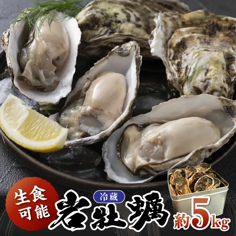 【先行予約】京都・京丹後産　鮮度抜群！濃厚肉厚岩牡蠣（生食用）約5kg（約10個）（殻付き・かんかん入り・冷蔵・ナイフ付き）