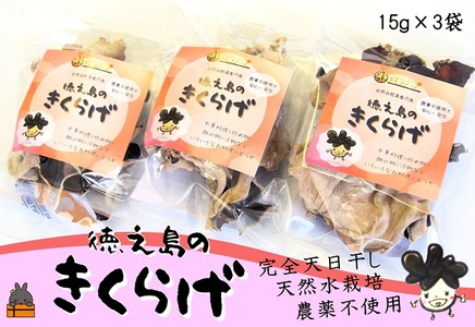 天然水使用・完全天日干し徳之島産きくらげ（3袋）( きのこ 健康 国産 安心 安全 和食 中華料理 こりこり 料理 天然水 中華丼 汁物 具材 朝食 昼食 夕食 )