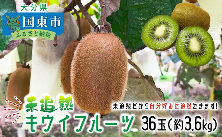 未追熟 キウイフルーツ 36玉（約3.6kg） _2302R