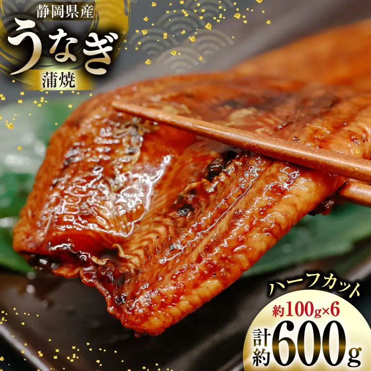 うなぎ 国産 静岡 うなぎ蒲焼 ハーフカット 100g ×6 計600g [静岡鰻販売 静岡県 吉田町 22424172]