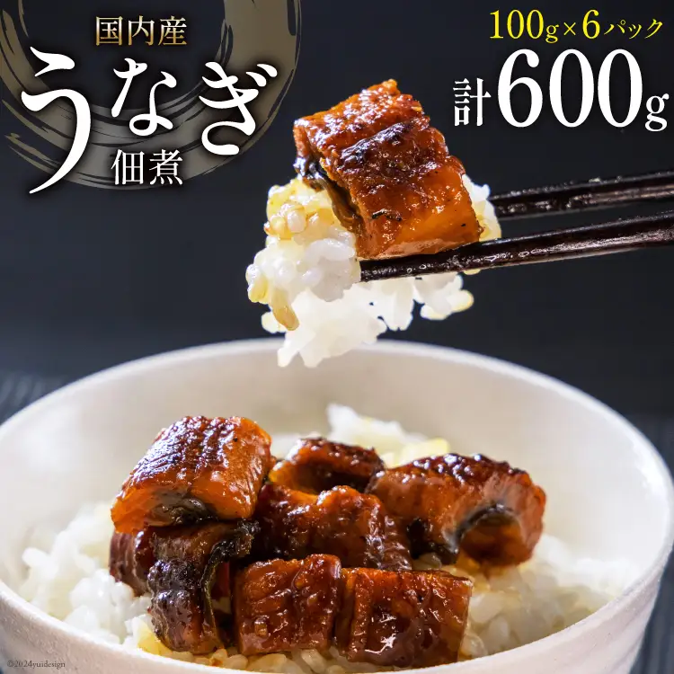 うなぎ 佃煮 国産 静岡 100g ×6 計600g [静岡鰻販売 静岡県 吉田町 22424327]