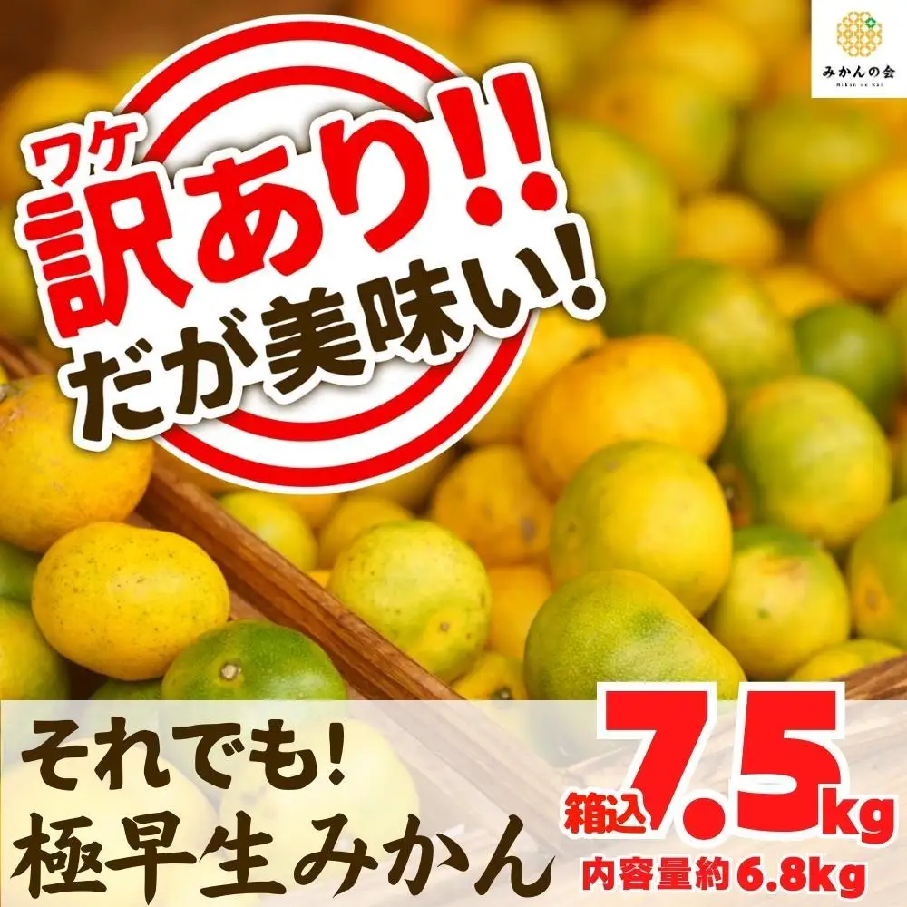 訳あり 極早生 箱込 7.5kg (内容量約 6.8kg) サイズミックス 有田みかん 和歌山県産 【みかんの会】［2026年10月上旬頃より順次発送予定］