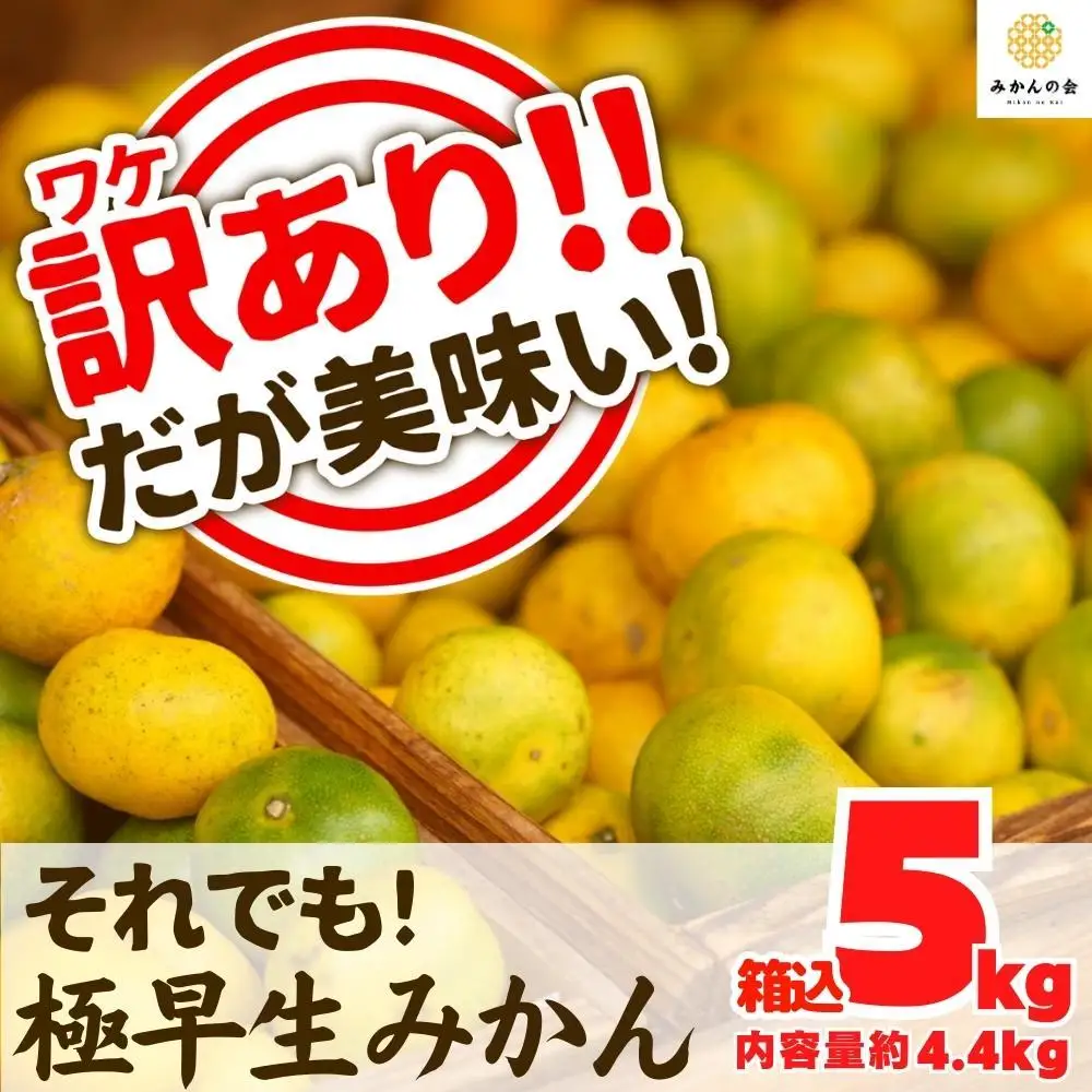 訳あり 極早生 みかん 箱込 5kg (内容量約 4.4kg) サイズミックス 有田みかん 和歌山県産