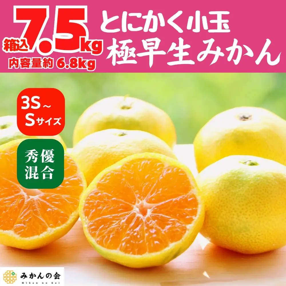 小玉みかん 極早生 箱込 7.5kg (内容量約 6.8kg) 3S～Sサイズ混合 秀品 優品 混合 有田みかん 和歌山県産 【みかんの会】［2026年10月上旬頃より順次発送予定］