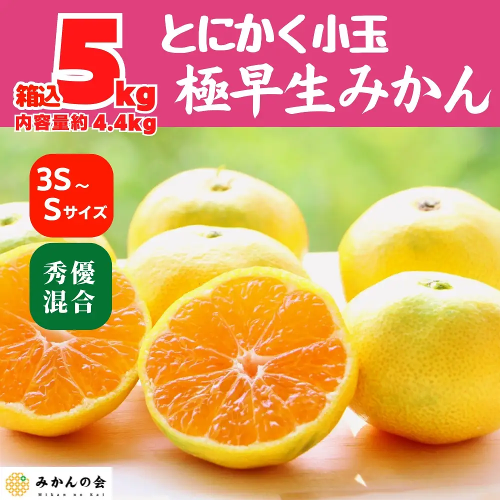 小玉みかん 極早生 箱込 5kg (内容量約 4.4kg) 3S～Sサイズ混合 秀品 優品 混合 有田みかん 和歌山県産 【みかんの会】［2026年10月上旬頃より順次発送予定］