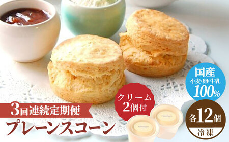 【3回定期便】プレーン スコーン セット 12個 スコーンクリーム付き 多治見市/famfam スイーツ 洋菓子 [TAK014]