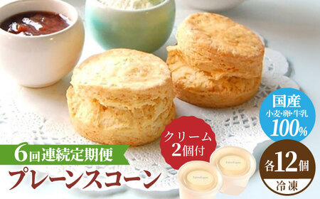【6回定期便】プレーン スコーン セット 12個 スコーンクリーム付き 多治見市/famfam デザート 焼き菓子 [TAK015]