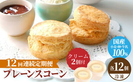 【12回定期便】プレーン スコーン セット 12個 スコーンクリーム付き 多治見市/famfam スイーツ 洋菓子[TAK016]