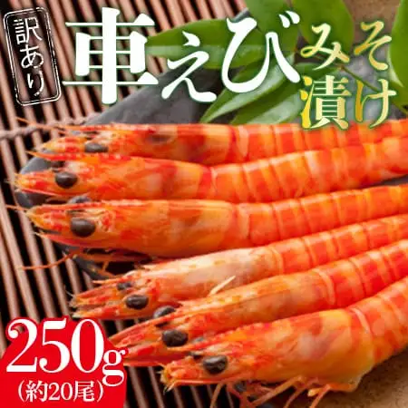 訳あり 夏海老のみそ漬け（食べやすいサイズ 車海老の味噌漬け） 010-C168