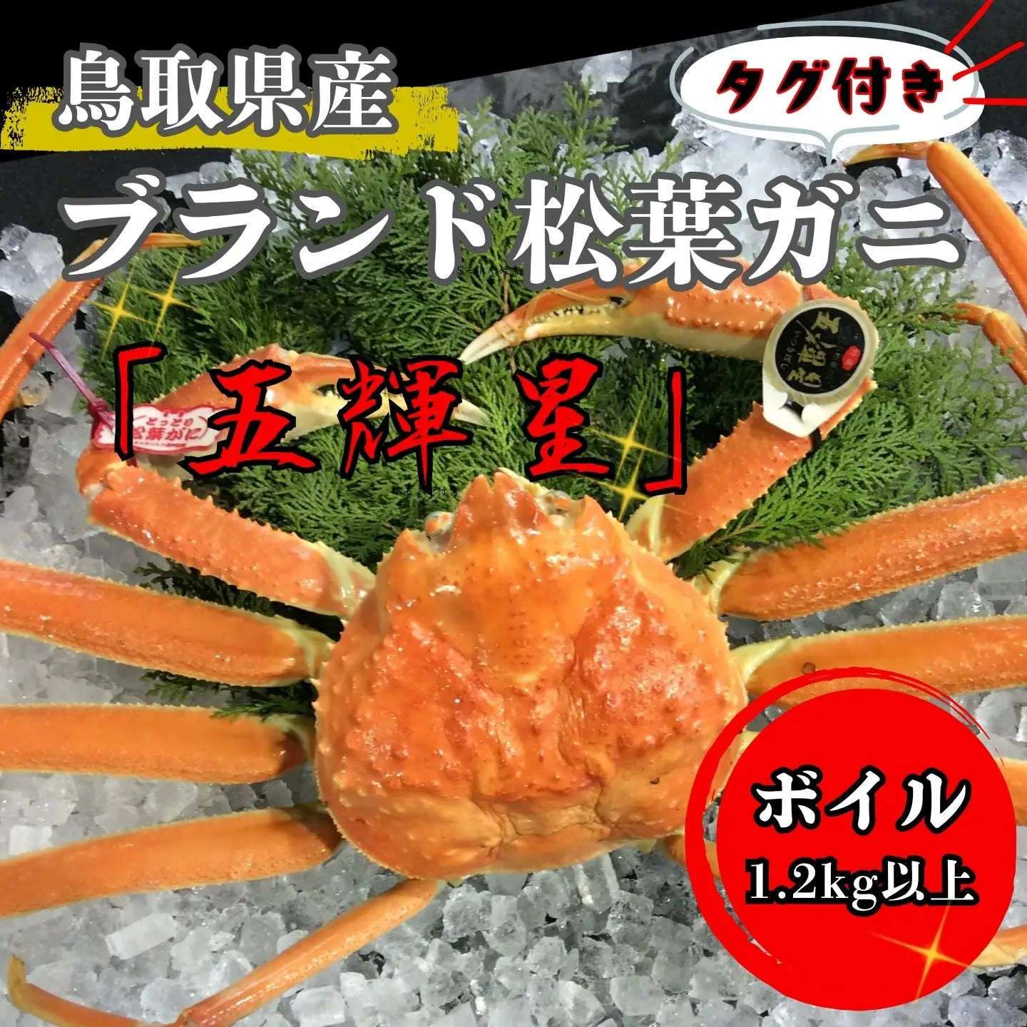 【'26先行予約】五輝星ボイル松葉ガニ（特々大1.2kg）数量限定品 【魚倉】[166-2]