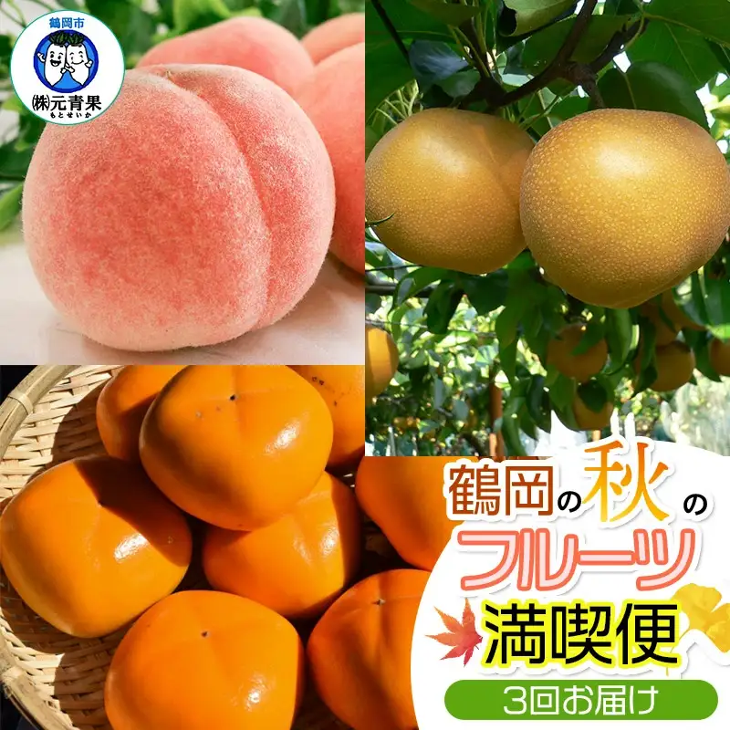 【令和8年産 先行予約】鶴岡の秋のフルーツ満喫便【3回お届け】白桃・和梨・庄内柿　山形県鶴岡産　株式会社　元青果