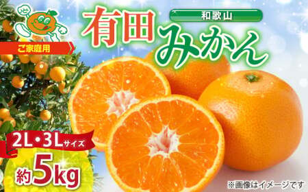ZJ6084_【2026年先行予約】ご家庭用　和歌山有田みかん 約5kg (2L、3Lサイズいずれか)【湯浅町】