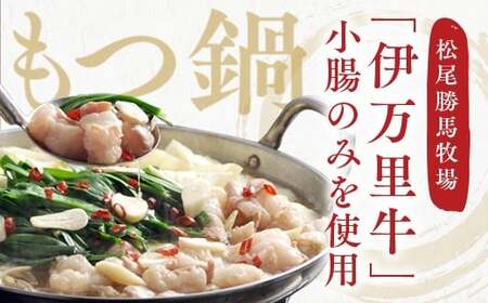 もつ鍋セット 2人前～3人前 伊万里牛ホルモン400g スープ 麺 薬味付き 007-J1451