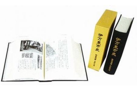 伊万里市史「陶磁器編 古伊万里」 伊万里焼 歴史 公式 095-N035