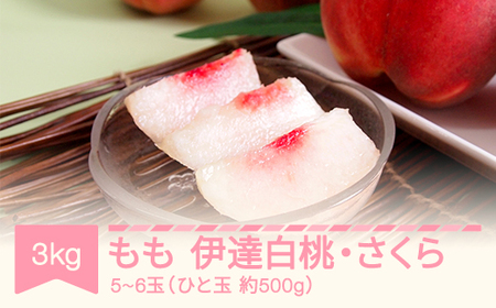 【先行予約】もも 桃 伊達白桃またはさくら 約3kg 令和8年産 2026年産 果物 ※沖縄・離島への配送不可  mm-modsx3000