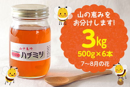 【自然のまま】富津産ハチミツ（7～8月の花）500g×6本 計3kg