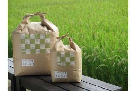 佐賀県産さがびより10kg 034-B147