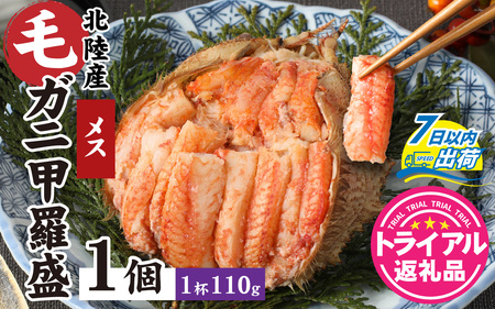【トライアル返礼品】蟹好き集まれ！北陸産メス毛ガニ 甲羅盛【メス甲羅盛110ｇ前後】【訳あり】 [A-096004] / 甲羅盛り