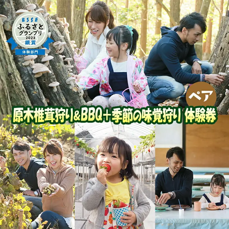【ふるさと納税】 原木 椎茸 狩り BBQ + 季節の味覚狩り ペア 体験券 しいたけ シイタケ バーベキュー 味覚狩り 体験 チケット ふるさと納税 ふるさと 人気 家族 レジャー アウトドア おすすめ 送料無料 兵庫県 三田市 [3d28bae310002]