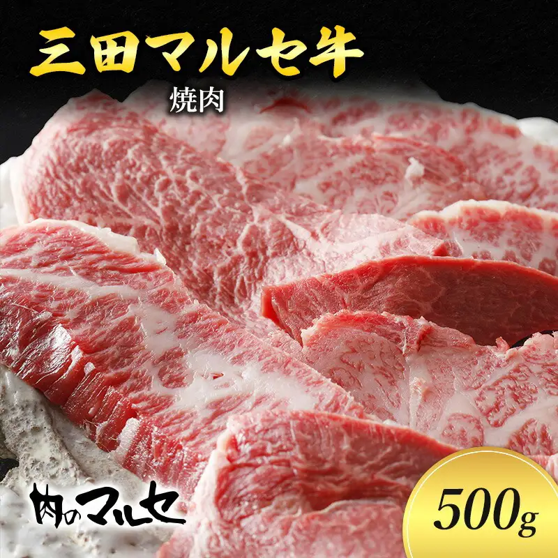【ふるさと納税】 三田 マルセ牛 焼肉 500g 焼き肉 やきにく 焼肉 焼肉パーティ 勢戸 牛肉 ギフト 肉 お祝い 但馬牛 神戸牛 三田牛 数量限定 訳あり ふるさと納税 ふるさと 人気 おすすめ 送料無料 兵庫県 三田市 [3d28bae610034]