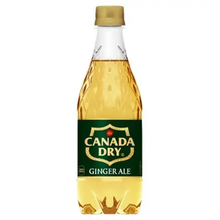 カナダドライジンジャーエール 500mlPET×24本_飲料・ドリンク 炭酸飲料 ジュース _【1456816】
