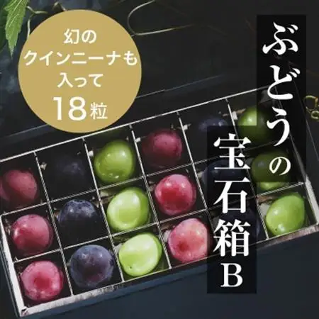 『ぶどうの宝石箱B』(3品種)【2026年9月より順次発送/ふるさと納税限定/数量限定】【配送不可地域：離島】【1458789】