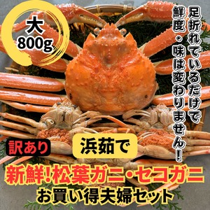 【22019】鳥取網代港【訳あり】浜茹で！松葉ガニ・セコガニセット（大）※お届けは2026年11月中旬～【さかなや新鮮組】