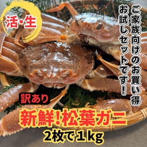【22026】鳥取網代港【訳あり】活！松葉ガニ1kgセット※お届けは2026年11月中旬～【さかなや新鮮組】