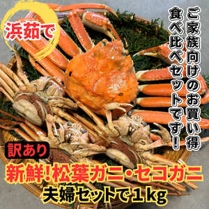 【22033】鳥取網代港【訳あり】浜茹で！松葉ガニ・セコガニ1kgセット※お届けは2026年11月中旬～【さかなや新鮮組】