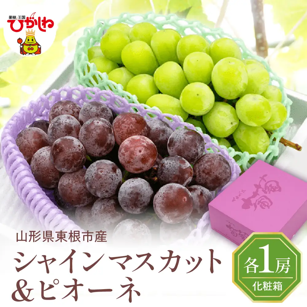 2026年ぶどう「シャインマスカット＆ピオーネ 」秀品 化粧箱入り各1房（計2房 約1.2kg） 東根農産センター提供 山形県 東根市 hi027-236　山形県 東根市 東北 果物 フルーツ くだもの ぶどう セット　詰め合わせ　シャインマスカット ピオーネ 期間限定 冷蔵配送 先行受付 令和8年産 取り寄せ グルメ ご当地 特産直送 送料無料 ふるさと納税