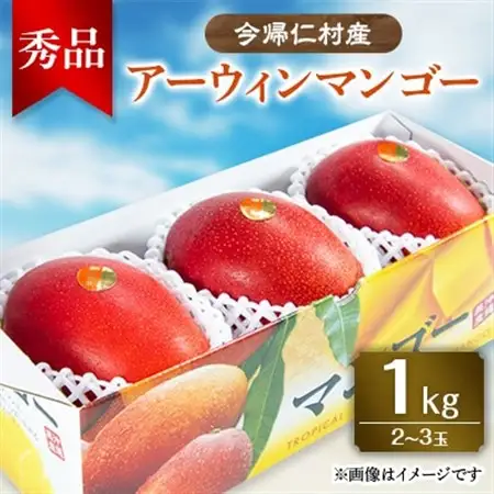 【先行受付・2026年6月から順次発送】山城フルーツ園のアーウィンマンゴー秀品1kg【配送不可地域：離島】【1439542】