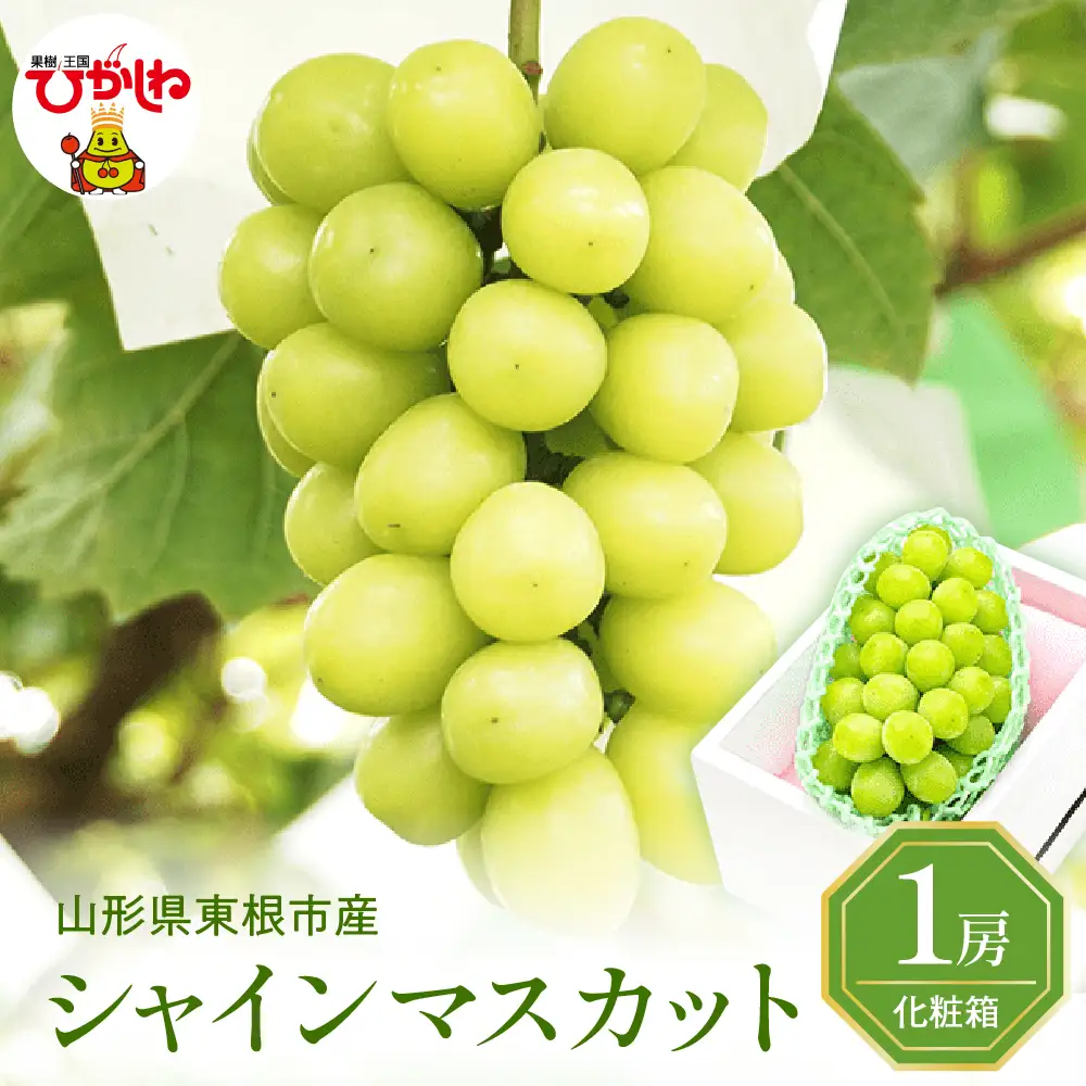 【2026年産】ぶどうシャインマスカット秀品 化粧箱入 ぶどう