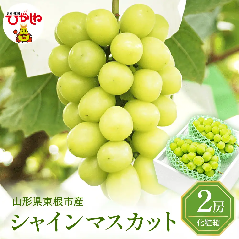 【2026年産】ぶどうシャインマスカット秀品 化粧箱入2房 ぶどう