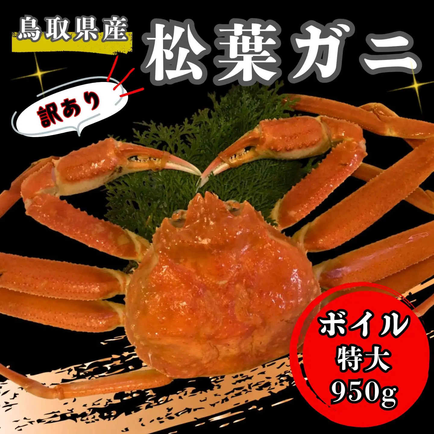 【'26先行予約】[訳あり]足１本なしボイル松葉ガニ（特大９５０ｇ）【魚倉】 [181-2]